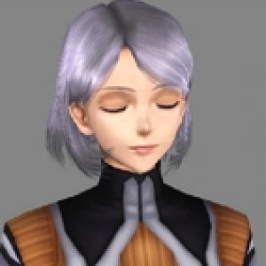 Febronia6.JPG