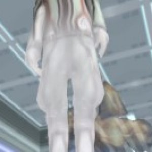 dtimg_0368.jpg