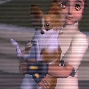 dtimg_1153.jpg