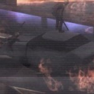 dtimg_1184.jpg