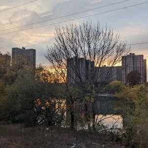 PXL_20221028_215017867.jpg