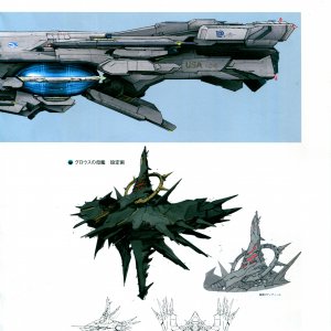 149.jpg